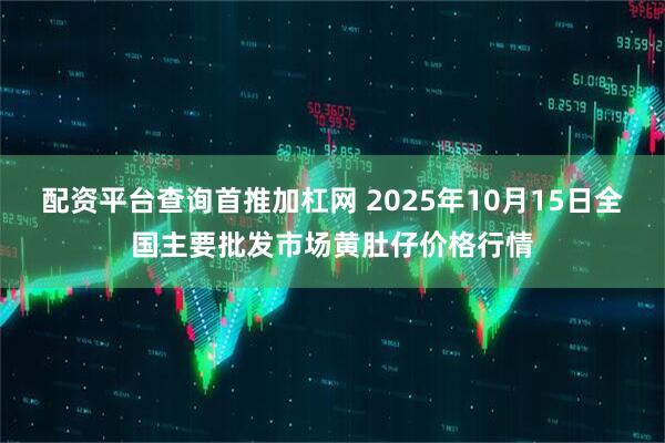 配资平台查询首推加杠网 2025年10月15日全国主要批发市场黄肚仔价格行情