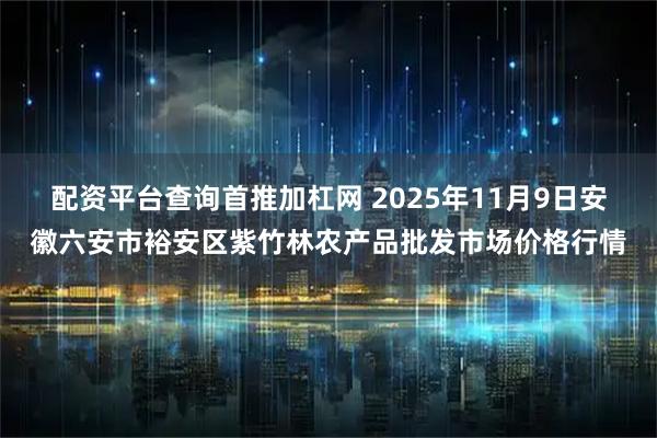 配资平台查询首推加杠网 2025年11月9日安徽六安市裕安区紫竹林农产品批发市场价格行情