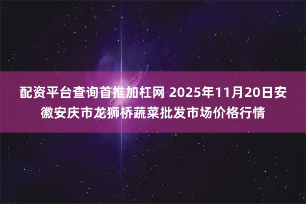 配资平台查询首推加杠网 2025年11月20日安徽安庆市龙狮桥蔬菜批发市场价格行情