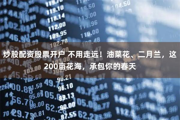 炒股配资股票开户 不用走远!油菜花、二月兰,这200亩花海,承包你的春天